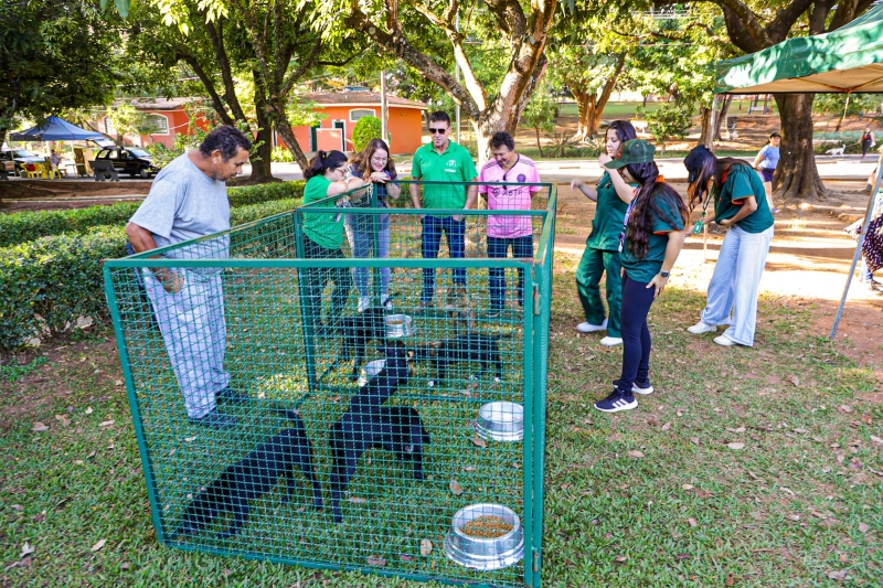 Prefeitura Paulínia Divulgação